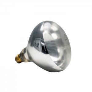 APS Žárovka do lampy