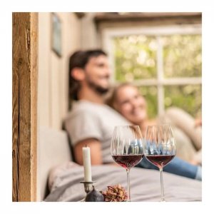 Fortessa Sklenice WINESHINE Allround 373 ml