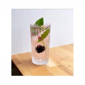 DURALEX Sklenice z tvrzeného skla MANHATTAN 305 ml